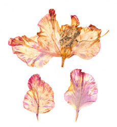 Similar image 21042610