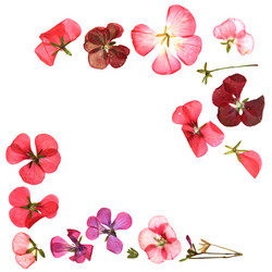 Similar image 21042611