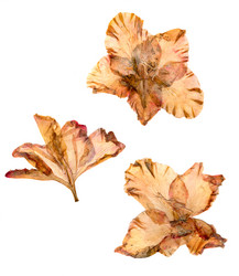 Similar image 21042612