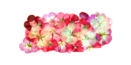 Similar image 21042615