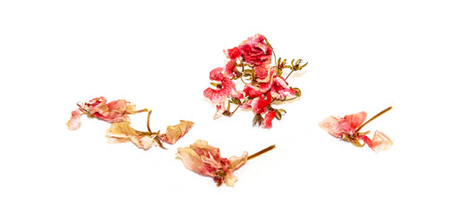 Similar image 21042617