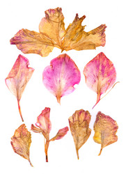 Similar image 21047103