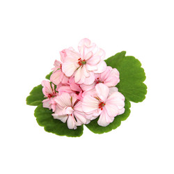 Similar image 21047104