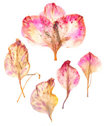 Similar image 21047105