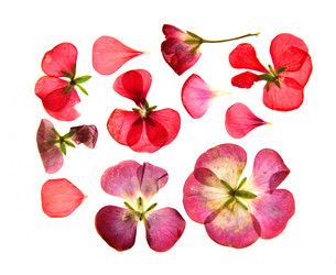 Similar image 21047106