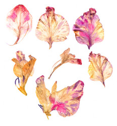 Similar image 21047107