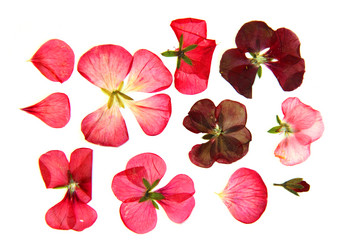 Similar image 21047108