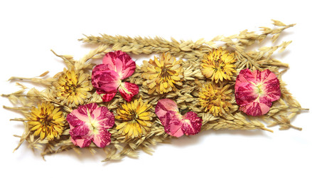 Similar image 21047109