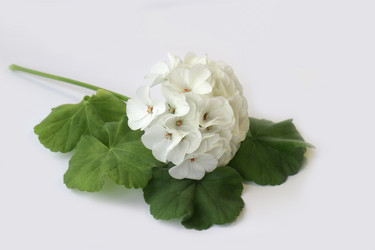 Similar image 21047110