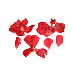 Similar image 21047111