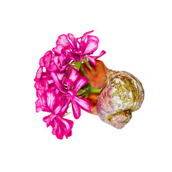 Similar image 21047112