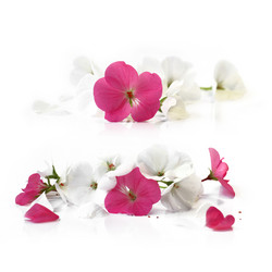 Similar image 21047113