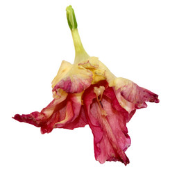 Similar image 21042889