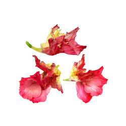 Similar image 21047221