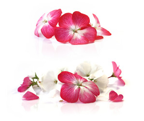 Similar image 21047222