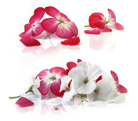 Similar image 21047224