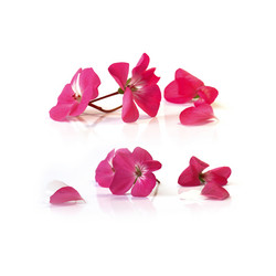 Similar image 21042892