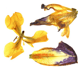 Similar image 21047312