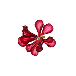 Similar image 21047313