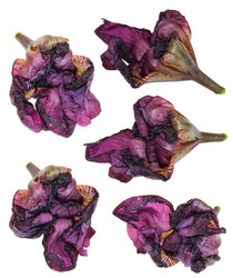 Similar image 21047318