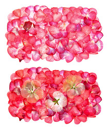 Similar image 21042893