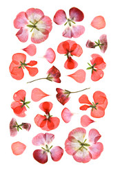 Similar image 21047320