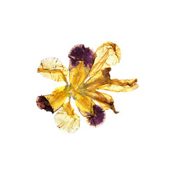 Similar image 21047321