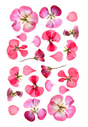 Similar image 21047322