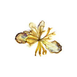 Similar image 21047323