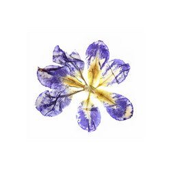 Similar image 21047325