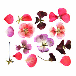 Similar image 21047326