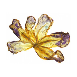 Similar image 21047327