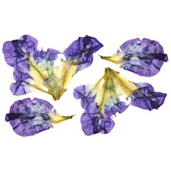 Similar image 21047329