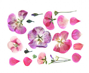 Similar image 21047331