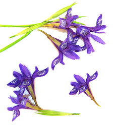 Similar image 21042620