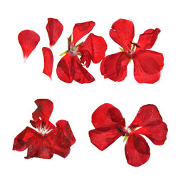 Similar image 21042621