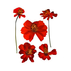 Similar image 21042624