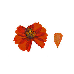 Similar image 21042626