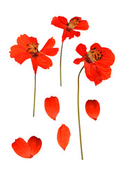 Similar image 21042627