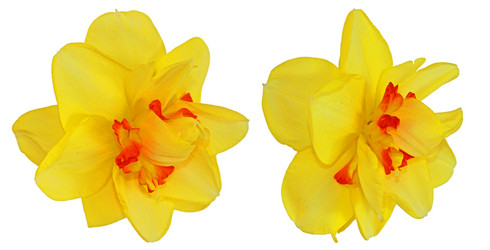 Similar image 21042636