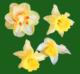 Similar image 21042781