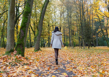 Similar image 21029781