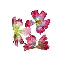 Similar image 21047119