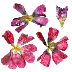 Similar image 21047121