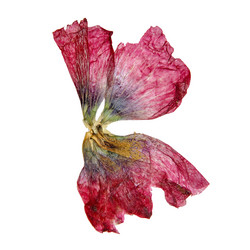 Similar image 21047123