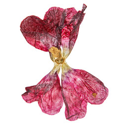 Similar image 21047125