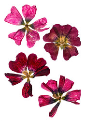 Similar image 21047127