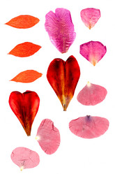 Similar image 21047131