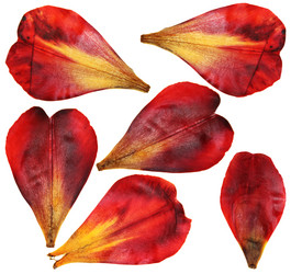 Similar image 21047231