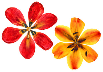 Similar image 21047235